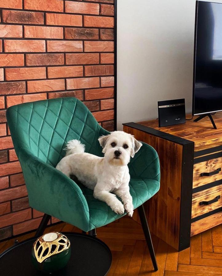Apartament Loft Appartamento Bielsko-Biała Esterno foto