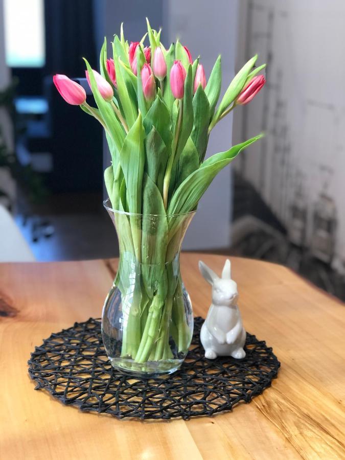 Apartament Loft Appartamento Bielsko-Biała Esterno foto